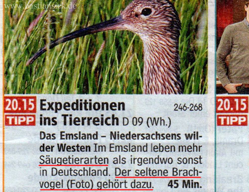 Säugetierarten wie der seltene Brachvogel_WZ (TV 14 24-2014) von Gerd Dammann 05.12.2014_TVusRu8h_f.jpg